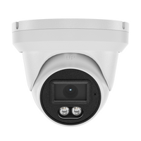 PSA IntelLink Full Colour Turret Network Camera