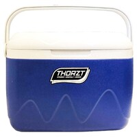 Thorzt 21L Ice Box